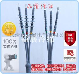 【益展冷缩电缆终端头】有完善的设计制造，检测和开发能力