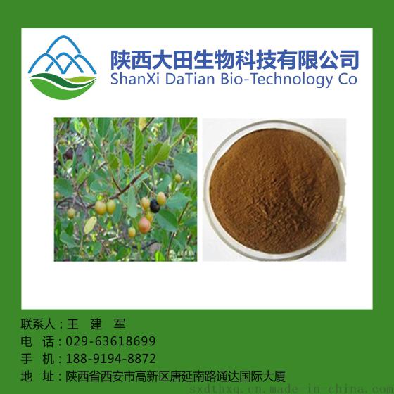 西安现货鼠李皮提取物10:1