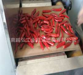 越弘50KW微波辣椒烘干机