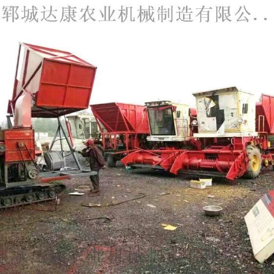 玉米秸秆青储机  大型青储机厂家 牧草收割机