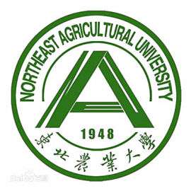 东北农业大学春季招生现在可录