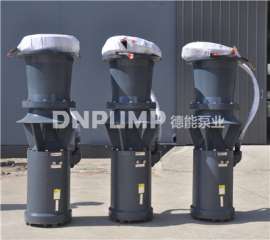 简易型轴流泵选型_价格_图片