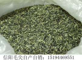 河北信阳毛尖批发