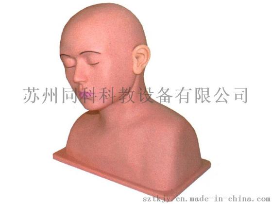 高级耳冲洗训练模型