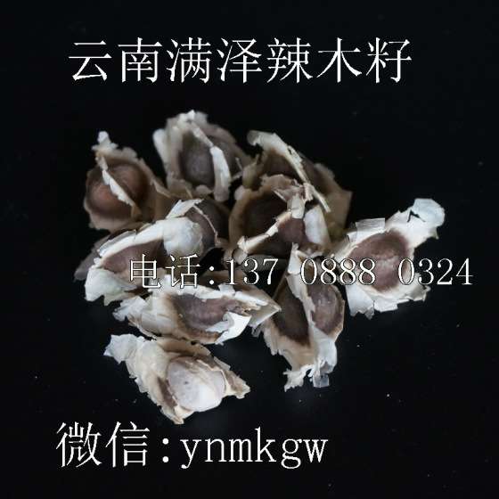云南满泽印度辣木籽的功效及吃法，辣木籽的功效真的有用吗