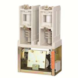 二相高压真空接触器 CKG4-12KV-2极高压真空接触器 二极接触器