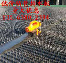 供应HDPE排水板/湖北车库地下室防渗排水板(图)