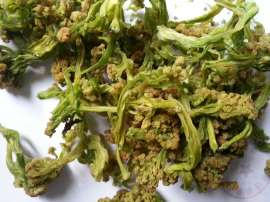 脱水松花菜 脱水花菜