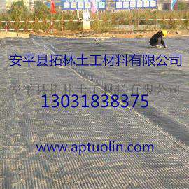 拓林 道路养护施工专用玻纤土工格栅 路面增强抗裂土工格栅