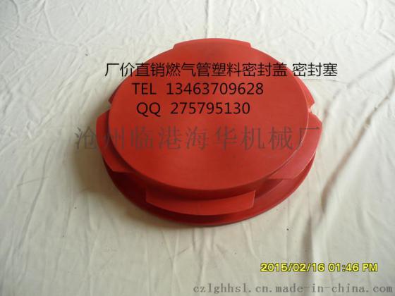 恒强塑料管帽，常年稳定供货 现货供应