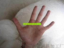 无棣县新萧网具生产葡萄防鸟网