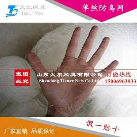 山东天尔网具有限公司一家专业的葡萄尼龙防鸟网厂家