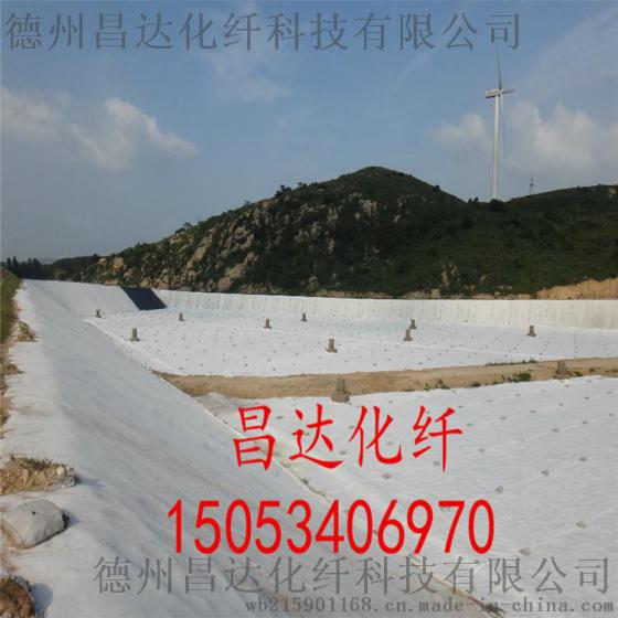 山东 土工布厂家  规格齐全