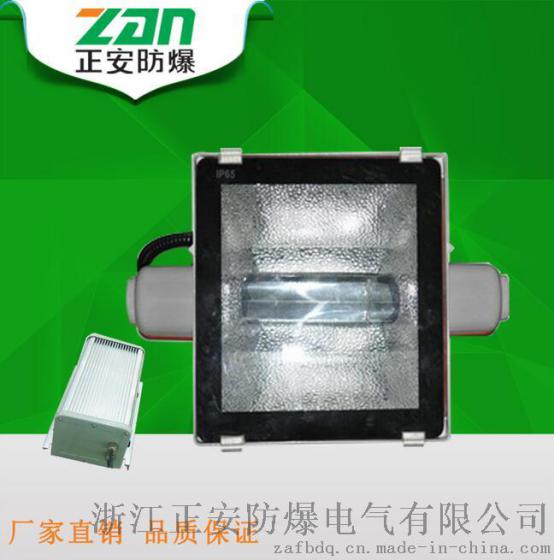 大功率投射灯 400（W）NTC9251 高效大功率投光灯