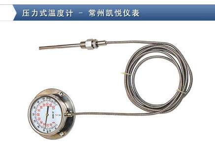 不锈钢压力式温度计