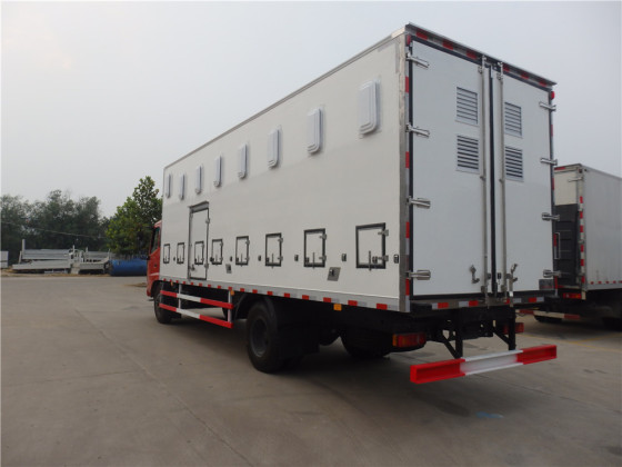 洛阳畜禽运输车，260马力，鸡苗车，7.7米鸡苗车
