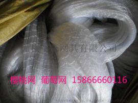 甘肃果园防鸟网图片 葡萄防鸟网价格防鸟网厂家直销