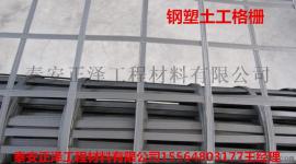 钢塑土工格栅国标执行标准JT/T480-2002