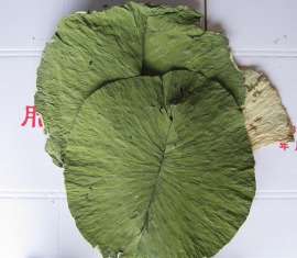 批发整张干荷叶|微山湖优质荷叶整张批发