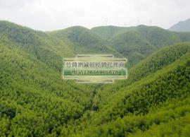广东竹筒酒批发，代理，招商，