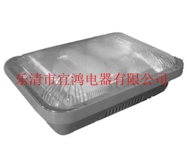NFC9175长寿顶灯
