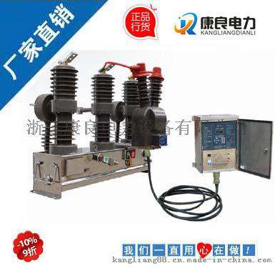 货到付款ZWF21-12高压永磁真空开关，ZWF21全国销售