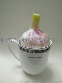 河北大蒜原种  干蒜   25斤包邮
