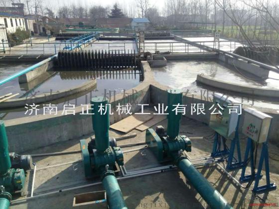 启正CCR150罗茨鼓风机 污水处理风机 曝气风机