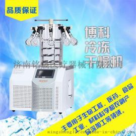 压盖型冷冻干燥机山东冻干机厂家