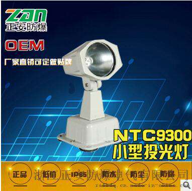 金卤灯NTC9300小型投光灯