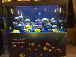 海洋生物主题鱼缸出租创意海洋展活动海狮表演才艺租赁