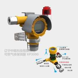 【辽宁中皓】沈阳盘锦锦州铁岭鞍山可燃气体报警器XP3000，一氧化碳气体泄露检测仪