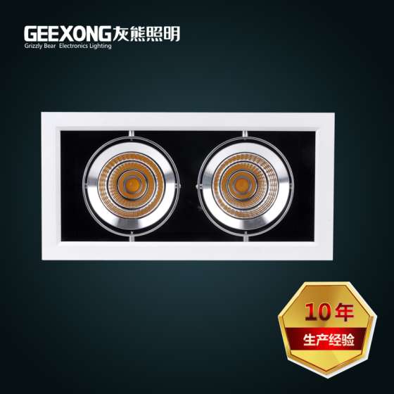 厂家直销高亮度双头20W30W斗胆灯COB豆胆灯