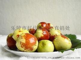 手摘山东鲜枣供应商