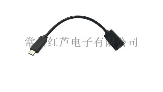 USB 3.0母转TpyeC OTG 可正反插接口