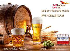 粤联兴供应  百威英博冰醇330ML听装啤酒