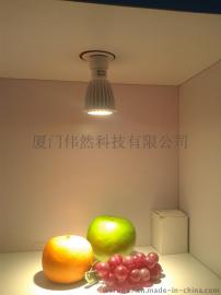 厦门厂家直销LED射灯