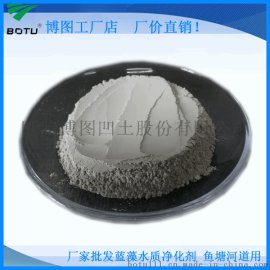 厂家批发蓝藻水质净化剂 水体净化专用型