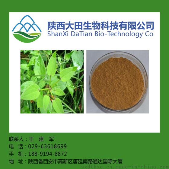 厂家直供茜草提取物10:1