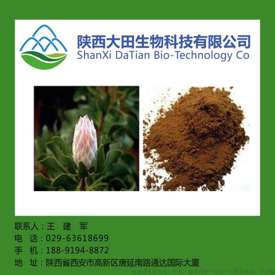西安现货菩提花提取物10:1  现货 包邮