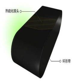 广西耐酸碱尼龙环形输送带