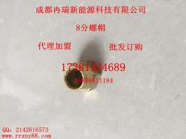 冉瑞新能源氢能油灶具配件——8分螺帽