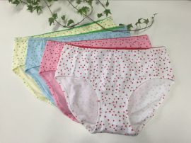 女士纯棉精梳棉抗菌内裤