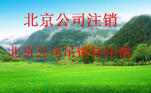 北京朝阳区公司注销  速度快 专业