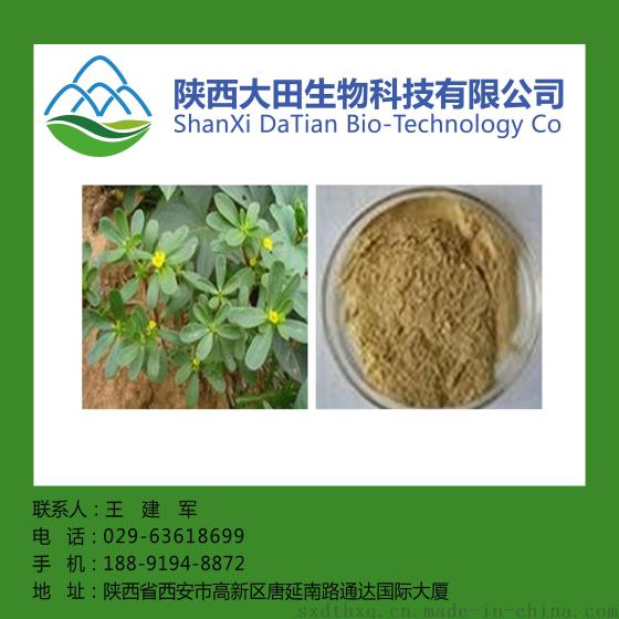 厂家直供马齿苋提取物10:1  抗皮肤过敏刺激抗炎和祛痘