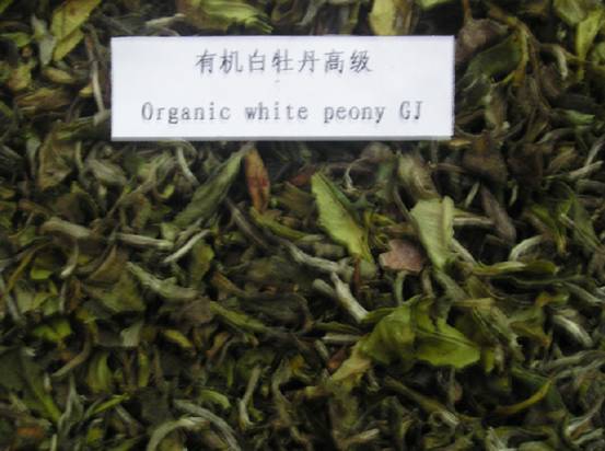 有机高级白牡丹