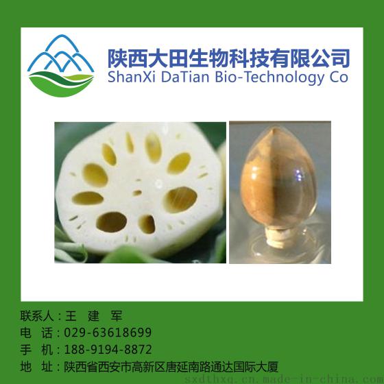 现货莲藕提取物10：1  lotus root