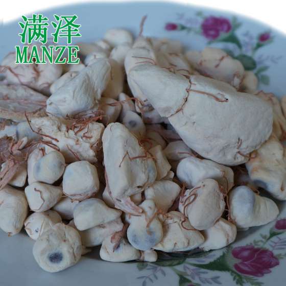 云南满泽猴面包树果实，猴面包树果实怎么吃，猴面包树的生长速度，生长猴面包树的土地，猴面包树生长在哪里