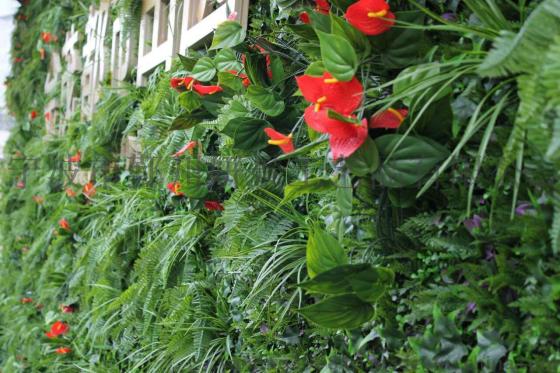 仿真植物墙、绿植墙、景观绿化