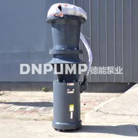 350QSZ中吸轴流泵现货供应价低质优